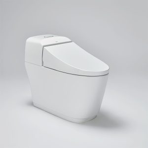 Bồn Cầu Điện Tử INAX AC-G216VN