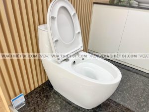 anh thuc te bon cau 1 khoi inax ac 1052vn aqua ceramic nap em 1