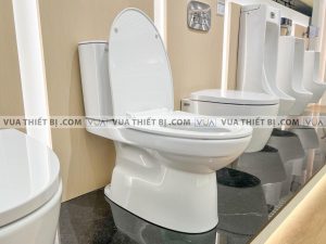 Bồn cầu 2 khối INAX AC-514VAN Aqua Ceramic