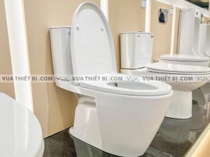 INAX AC-602 CW-S15VN - Bồn cầu thông minh Aqua Ceramic nắp rửa cơ 11 Bồn cầu 2 khối INAX AC-602VN Aqua Ceramic nắp êm
