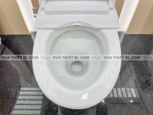 BỒN CẦU 2 KHỐI INAX AC-700A CW-S15VN AQUA CERAMIC NẮP RỬA CƠ