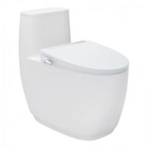 Bồn Cầu 1 khối INAX AC-1052 + CW-S32VN nắp rửa cơ