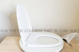 INAX CF-832VS CF832VS - Nắp bồn cầu rơi êm 6 Nắp-bồn-cầu-INAX-CF-832VS-CF832VS-rơi-êm