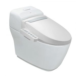 INAX AC-1032 CW-H20VN - Bồn cầu thông minh nắp điện tử