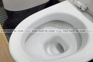 INAX AC-959A CW-H20VN - Bồn cầu thông minh nắp điện tử 3 anh thuc te bon cau 1 khoi inax ac 959van 2 aqua ceramic nap em 1